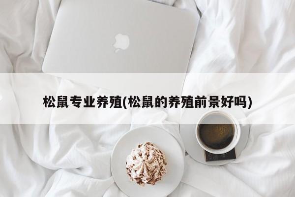 松鼠专业养殖(松鼠的养殖前景好吗) 第1张