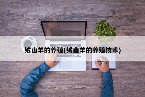 绒山羊的养殖(绒山羊的养殖技术) 第1张