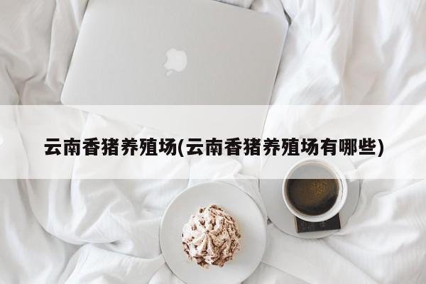 云南香猪养殖场(云南香猪养殖场有哪些) 第1张