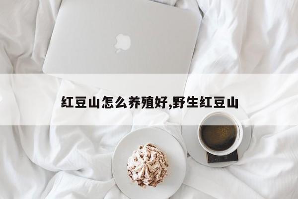 红豆山怎么养殖好,野生红豆山