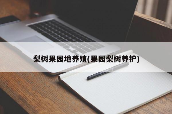 梨树果园地养殖(果园梨树养护)