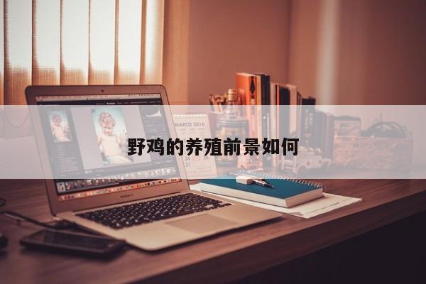 野鸡的养殖前景如何