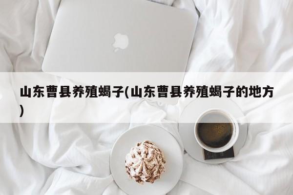 山东曹县养殖蝎子(山东曹县养殖蝎子的地方)