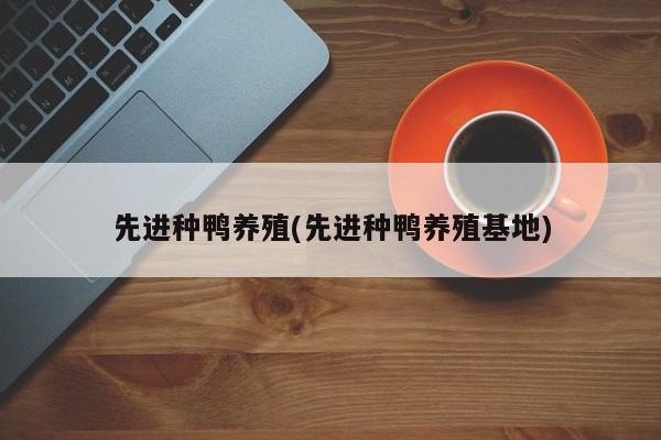 先进种鸭养殖(先进种鸭养殖基地)