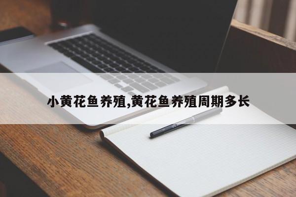 小黄花鱼养殖,黄花鱼养殖周期多长 第1张