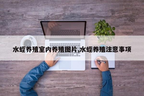 水蛭养殖室内养殖图片,水蛭养殖注意事项