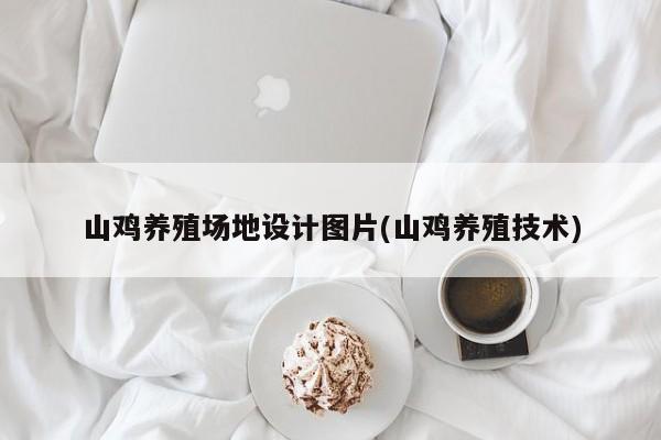 山鸡养殖场地设计图片(山鸡养殖技术)