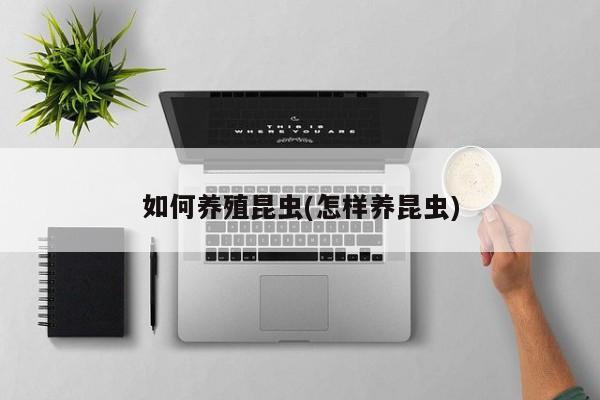 如何养殖昆虫(怎样养昆虫)