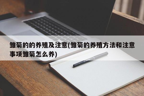 雏菊的的养殖及注意(雏菊的养殖方法和注意事项雏菊怎么养)