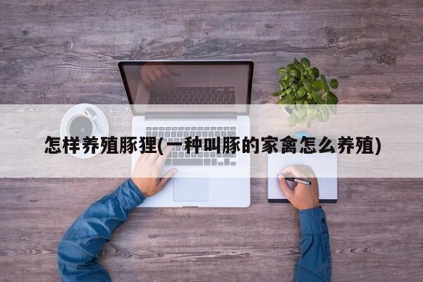 怎样养殖豚狸(一种叫豚的家禽怎么养殖)