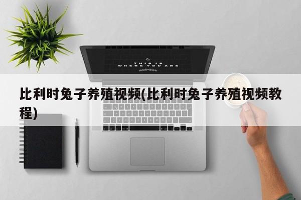 比利时兔子养殖视频(比利时兔子养殖视频教程)