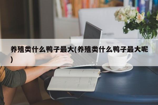 养殖类什么鸭子最大(养殖类什么鸭子最大呢)