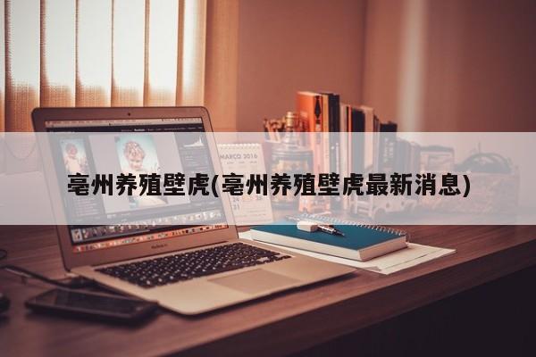 亳州养殖壁虎(亳州养殖壁虎最新消息) 第1张