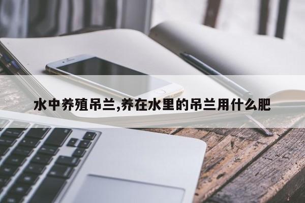 水中养殖吊兰,养在水里的吊兰用什么肥 第1张