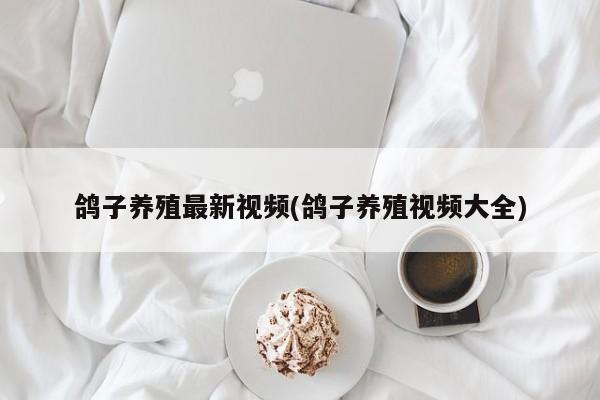鸽子养殖最新视频(鸽子养殖视频大全)