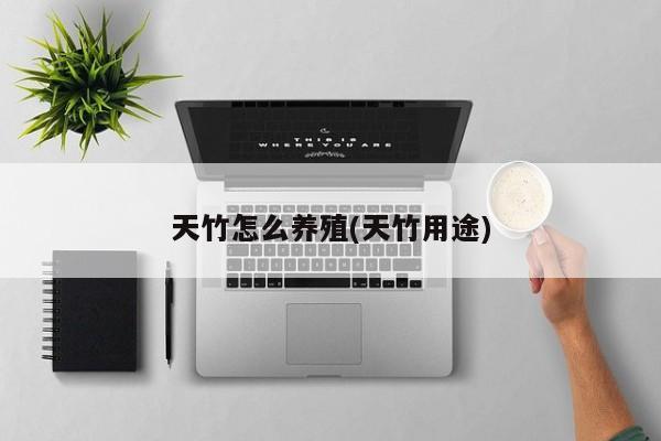 天竹怎么养殖(天竹用途)
