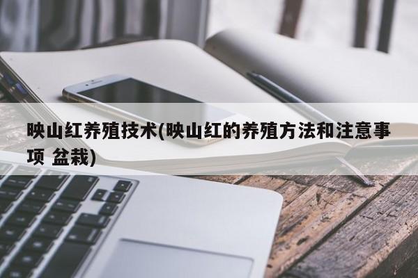 映山红养殖技术(映山红的养殖方法和注意事项 盆栽)