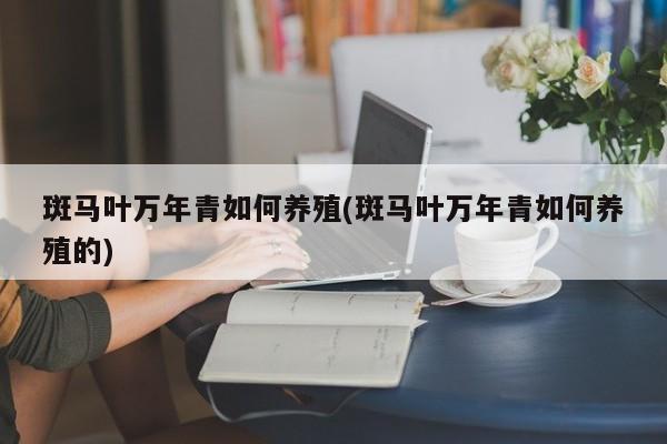 斑马叶万年青如何养殖(斑马叶万年青如何养殖的)
