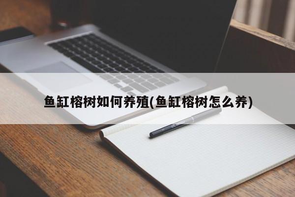 鱼缸榕树如何养殖(鱼缸榕树怎么养)