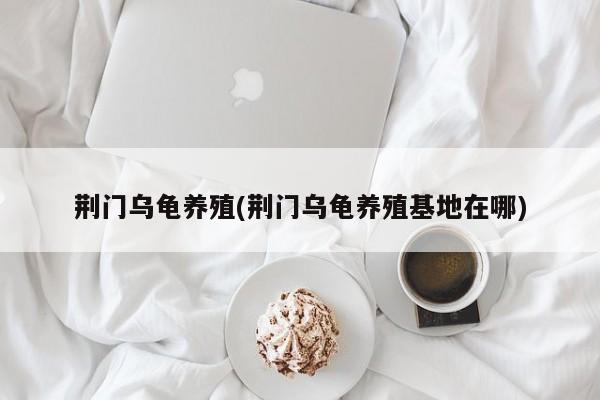 荆门乌龟养殖(荆门乌龟养殖基地在哪)