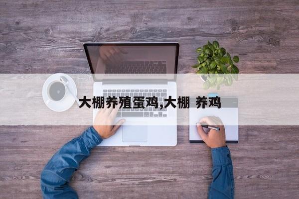 大棚养殖蛋鸡,大棚 养鸡