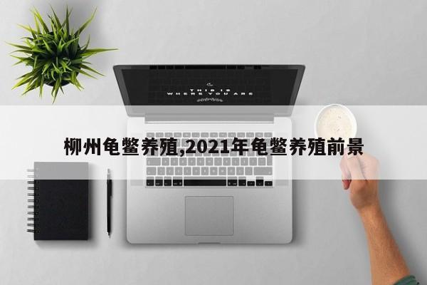 柳州龟鳖养殖,2021年龟鳖养殖前景