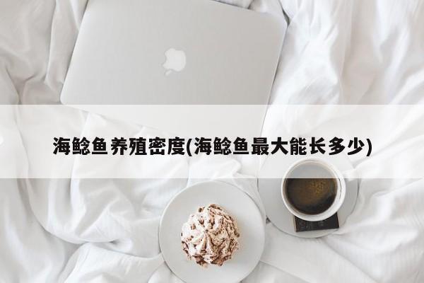 海鲶鱼养殖密度(海鲶鱼最大能长多少)