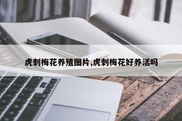 虎刺梅花养殖图片,虎刺梅花好养活吗