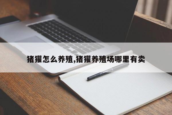 猪獾怎么养殖,猪獾养殖场哪里有卖
