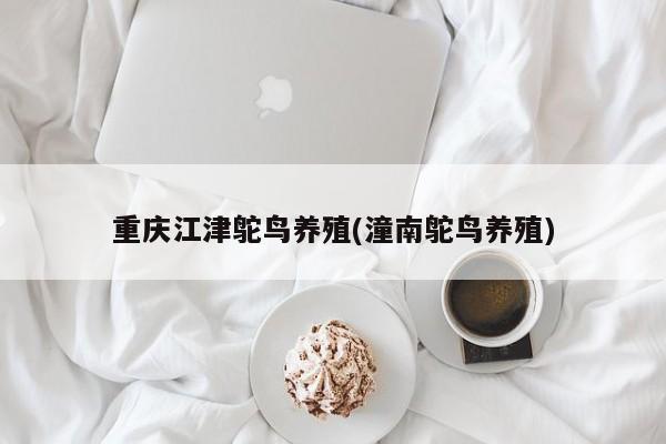重庆江津鸵鸟养殖(潼南鸵鸟养殖)