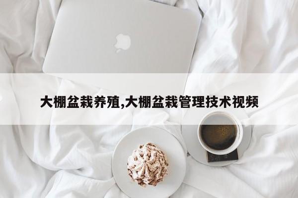 大棚盆栽养殖,大棚盆栽管理技术视频