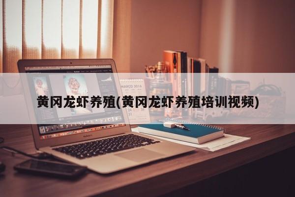 黄冈龙虾养殖(黄冈龙虾养殖培训视频)