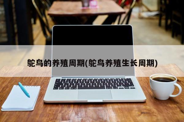 鸵鸟的养殖周期(鸵鸟养殖生长周期)